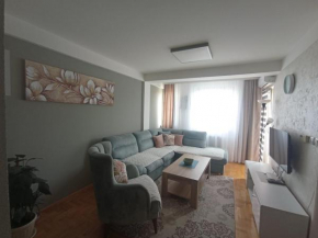 Apartman Dragon Kg